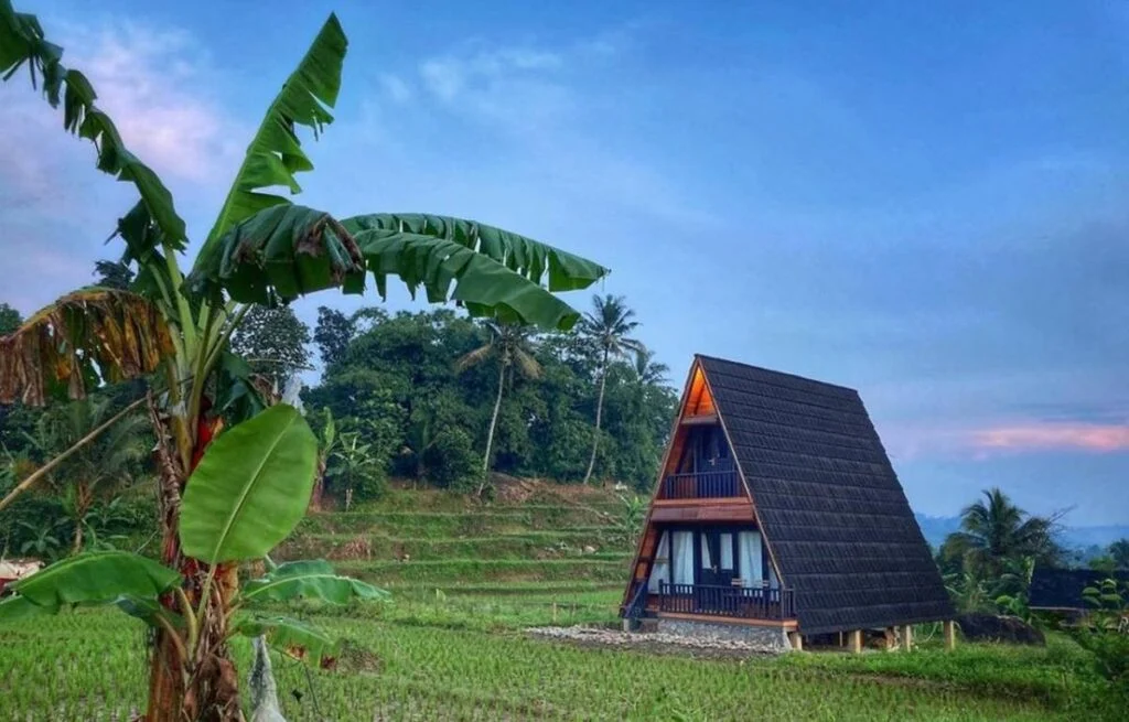 lahan bekas sawah - membangun rumah di lahan sawah - tanah bekas sawah